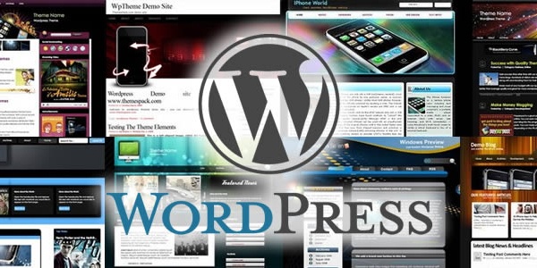 temas del hosting wordpress